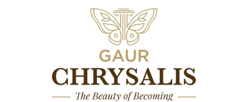 Gaur Chrysalis